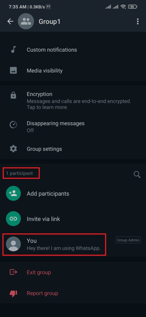 Comprobación de participantes en el grupo de WhatsApp