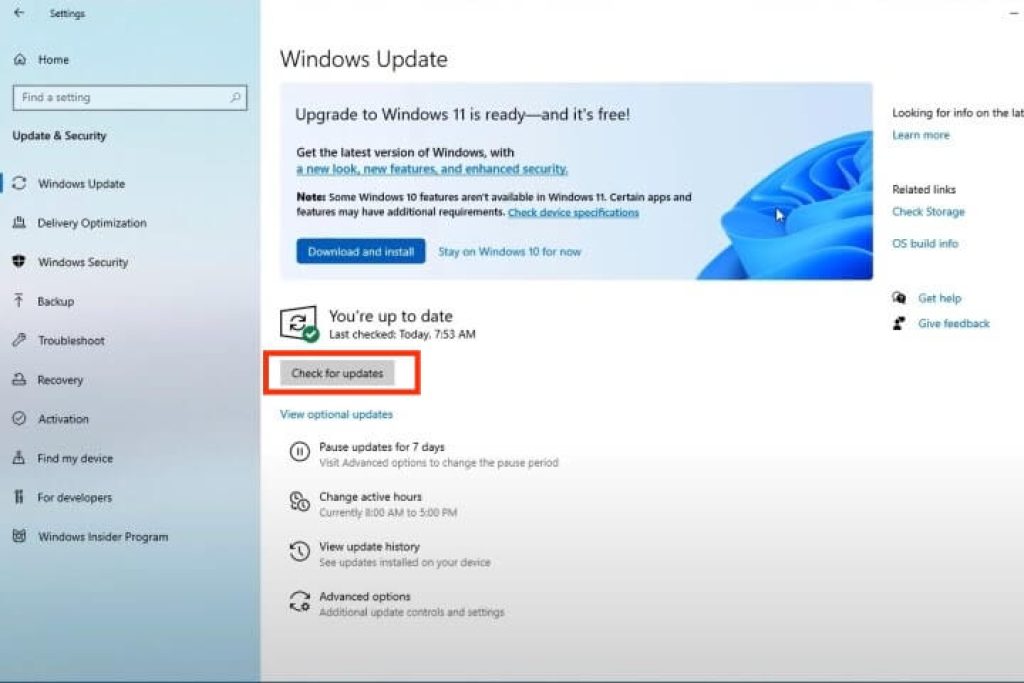 Compruebe las actualizaciones de win11