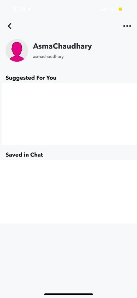 Lo que significan otros usuarios de Snapchat