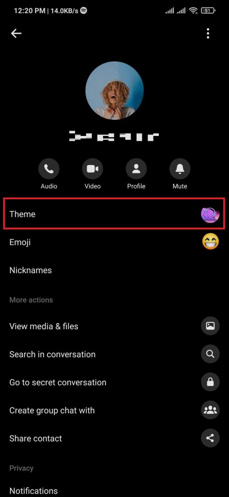 cambiar las opciones del tema de chat