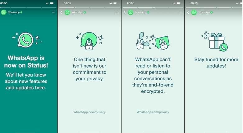 Whatsapp tiene estado